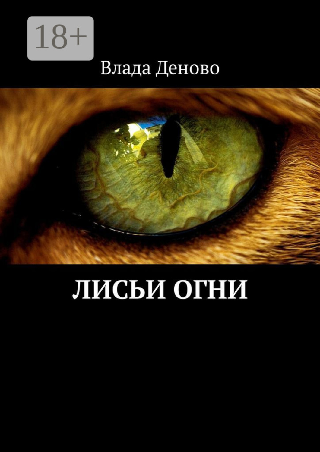 Обложка книги «Лисьи огни»
