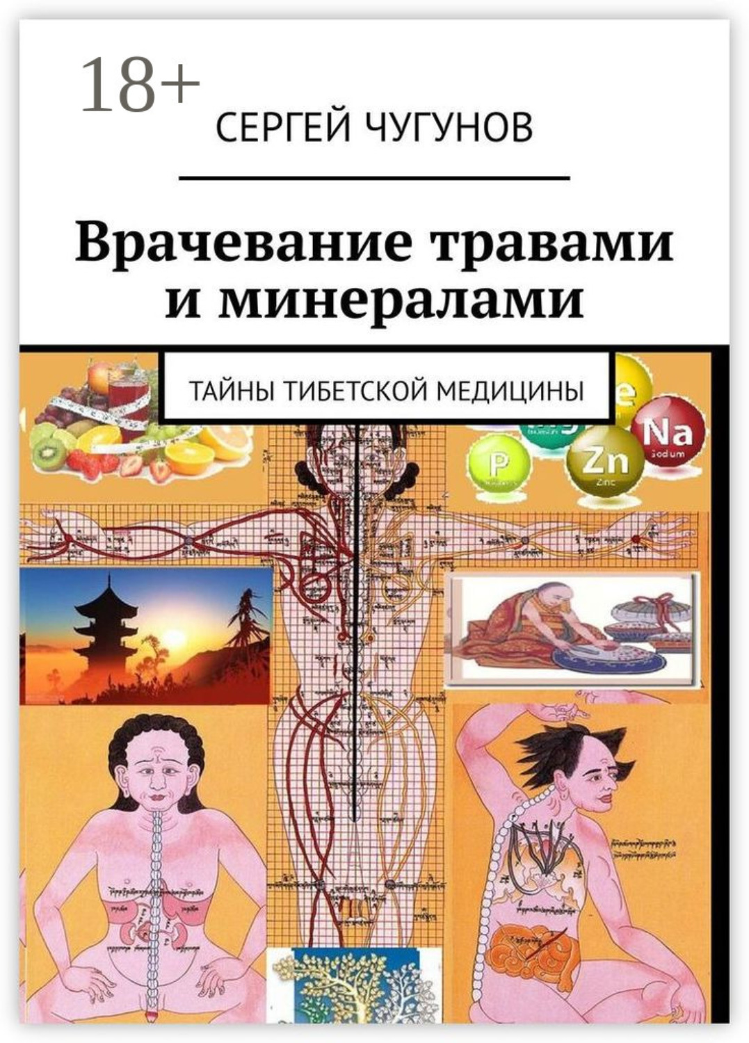 Обложка книги «Врачевание травами и минералами. Тайны тибетской медицины»