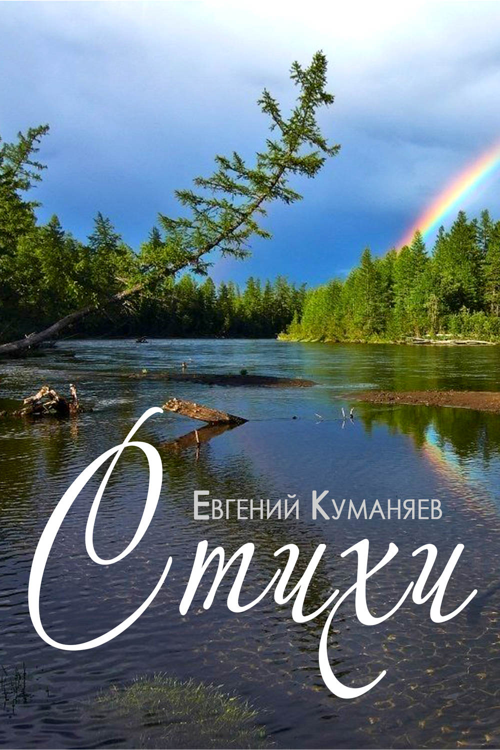 Обложка книги «Стихи»