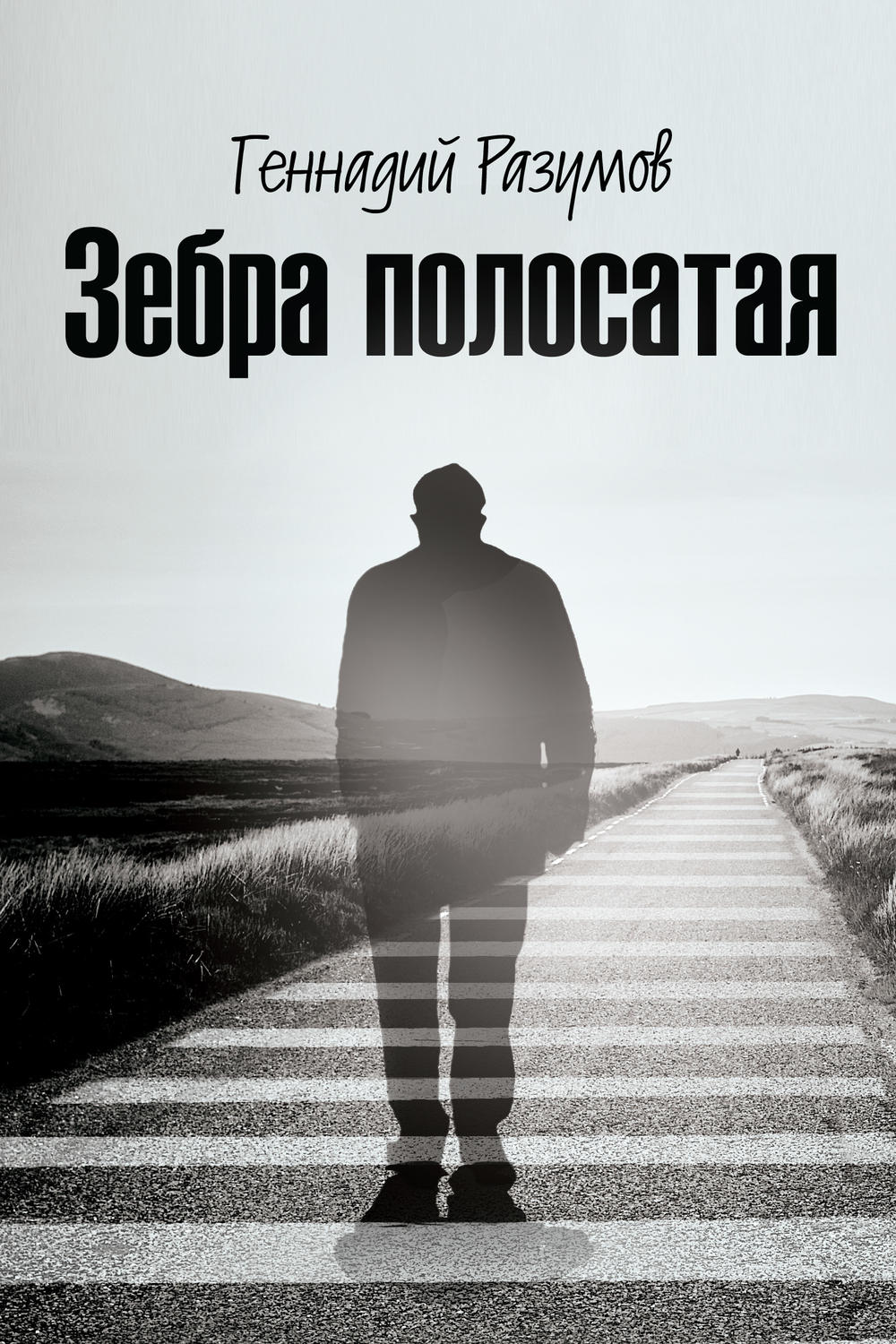 Обложка книги «Зебра полосатая. На переломах судьбы»