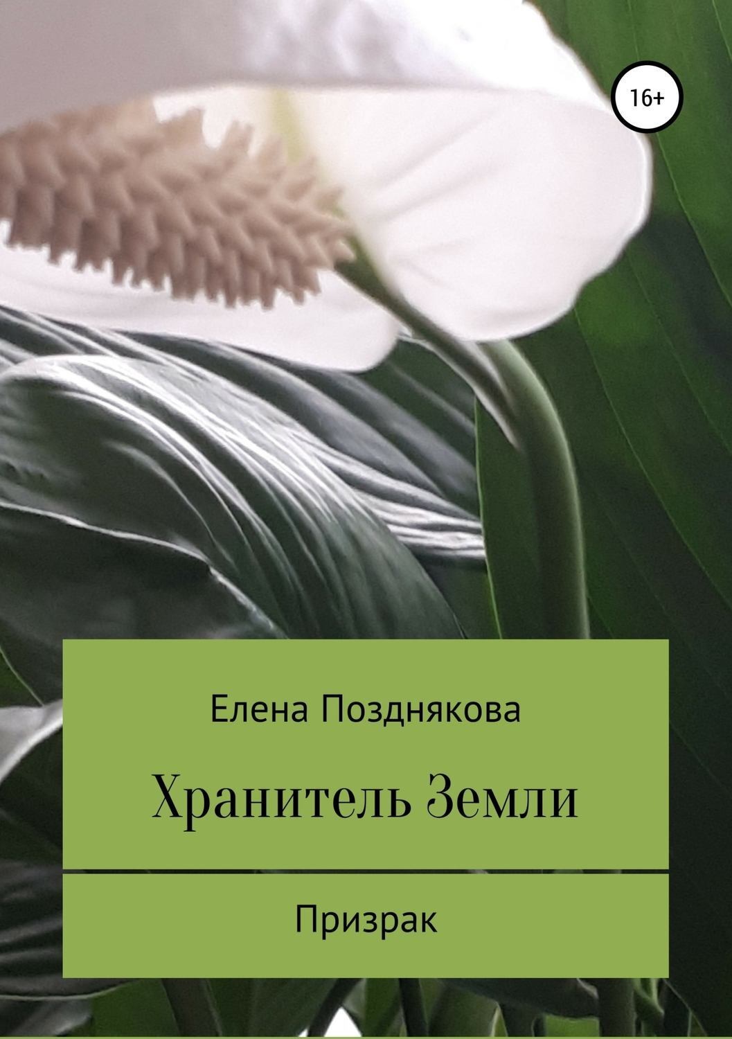 Обложка книги «Хранитель Земли»