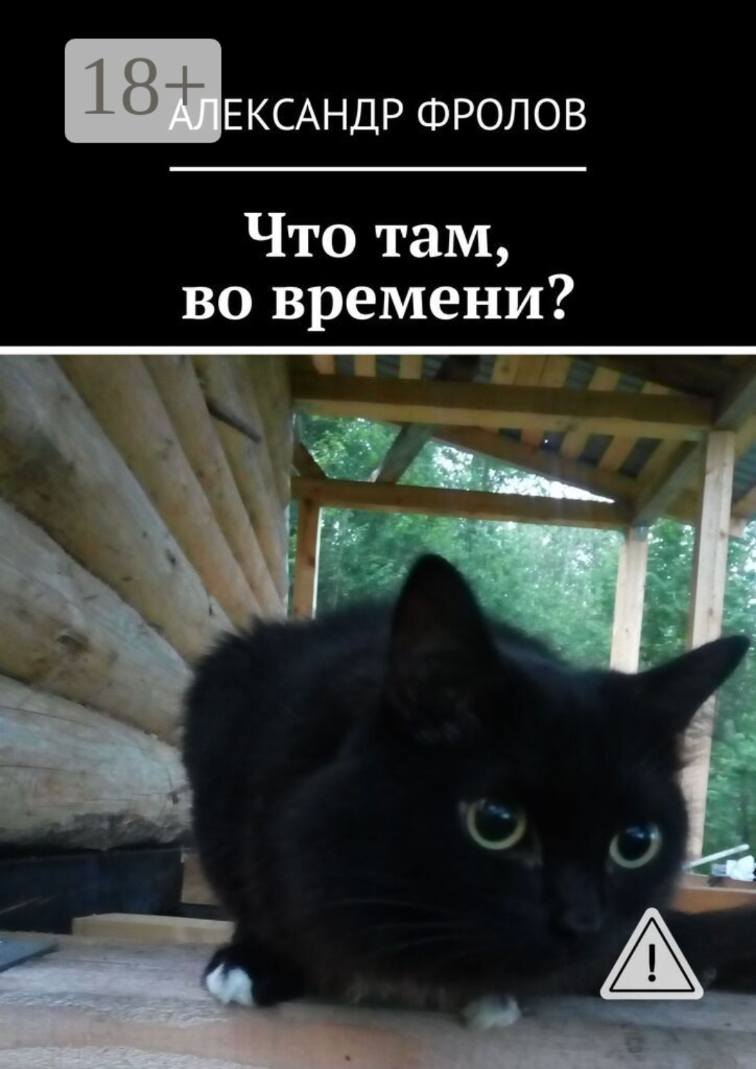 Обложка книги «Что там, во времени?»