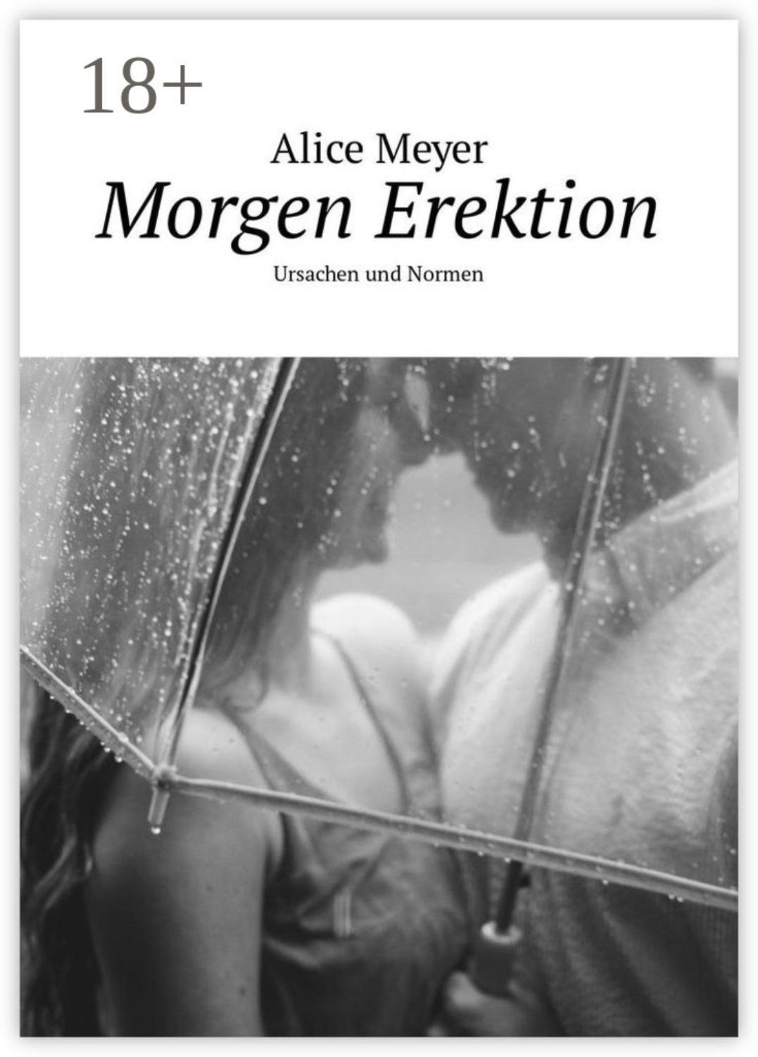 Обложка книги «Morgen Erektion. Ursachen und Normen»