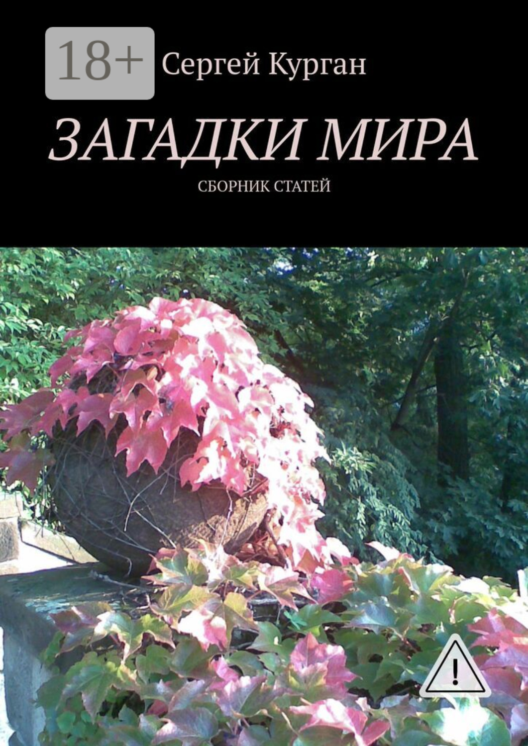 Обложка книги «Загадки мира. Сборник статей»