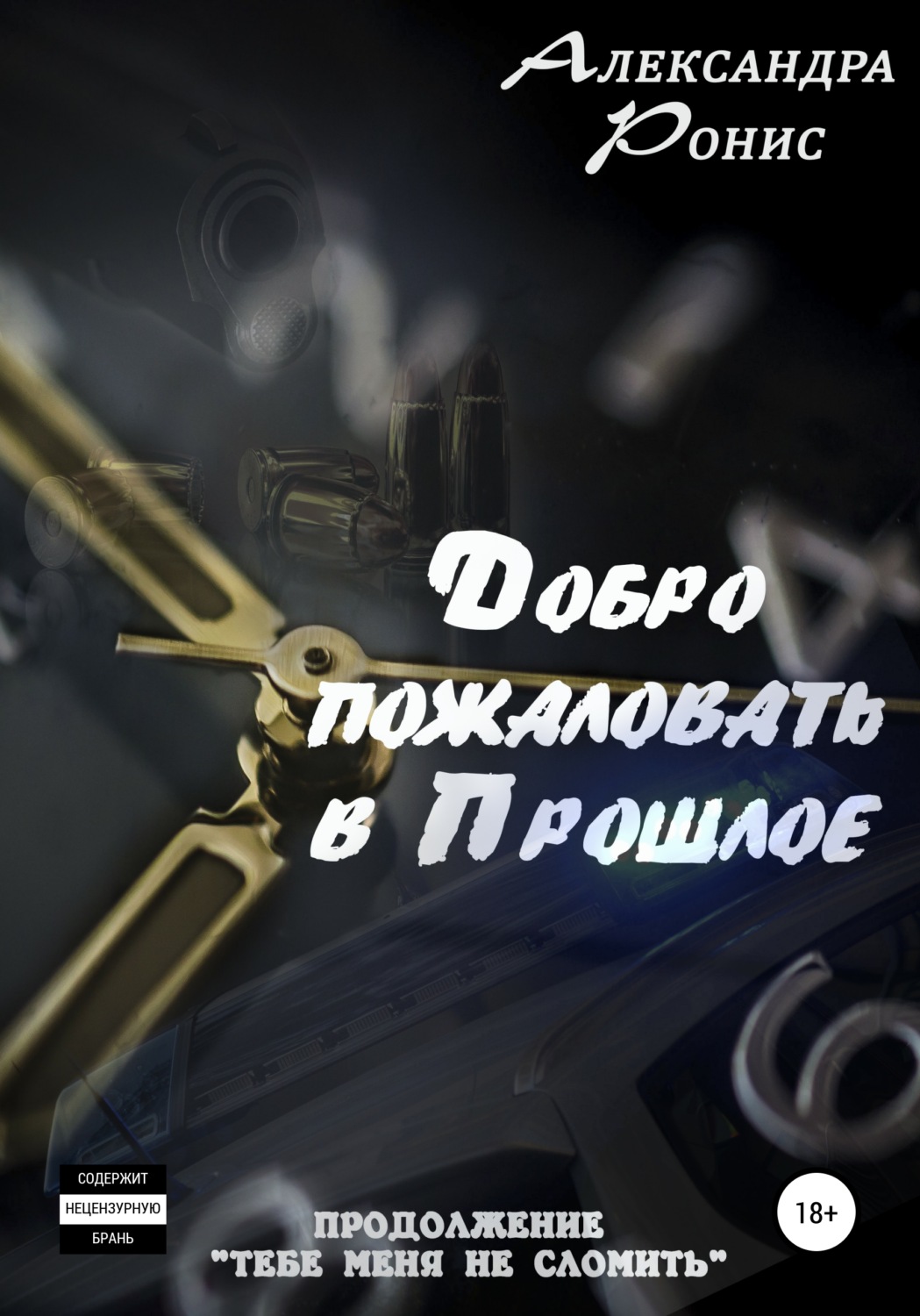 Обложка книги «Добро пожаловать в прошлое!»