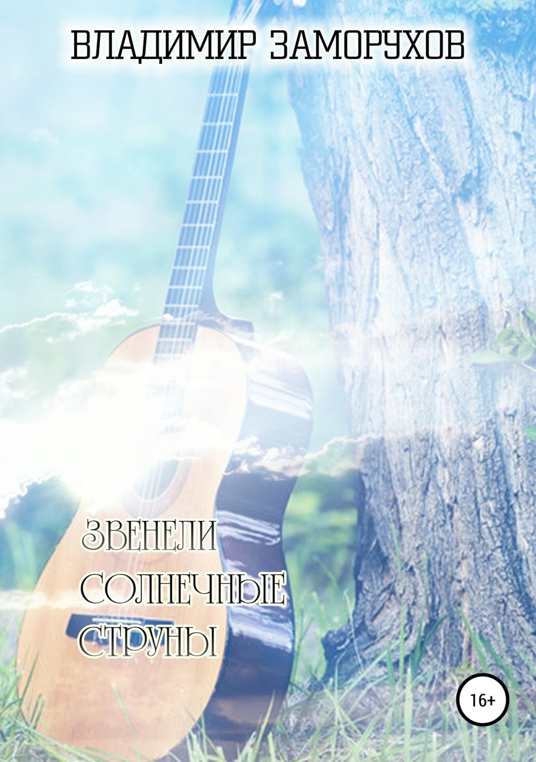 Обложка книги «Звенели солнечные струны»