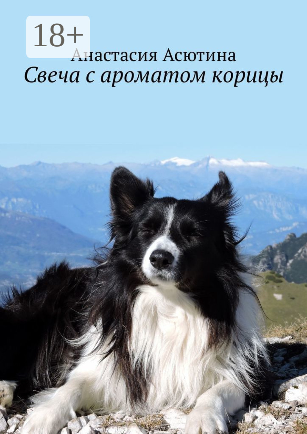 Обложка книги «Свеча с ароматом корицы»