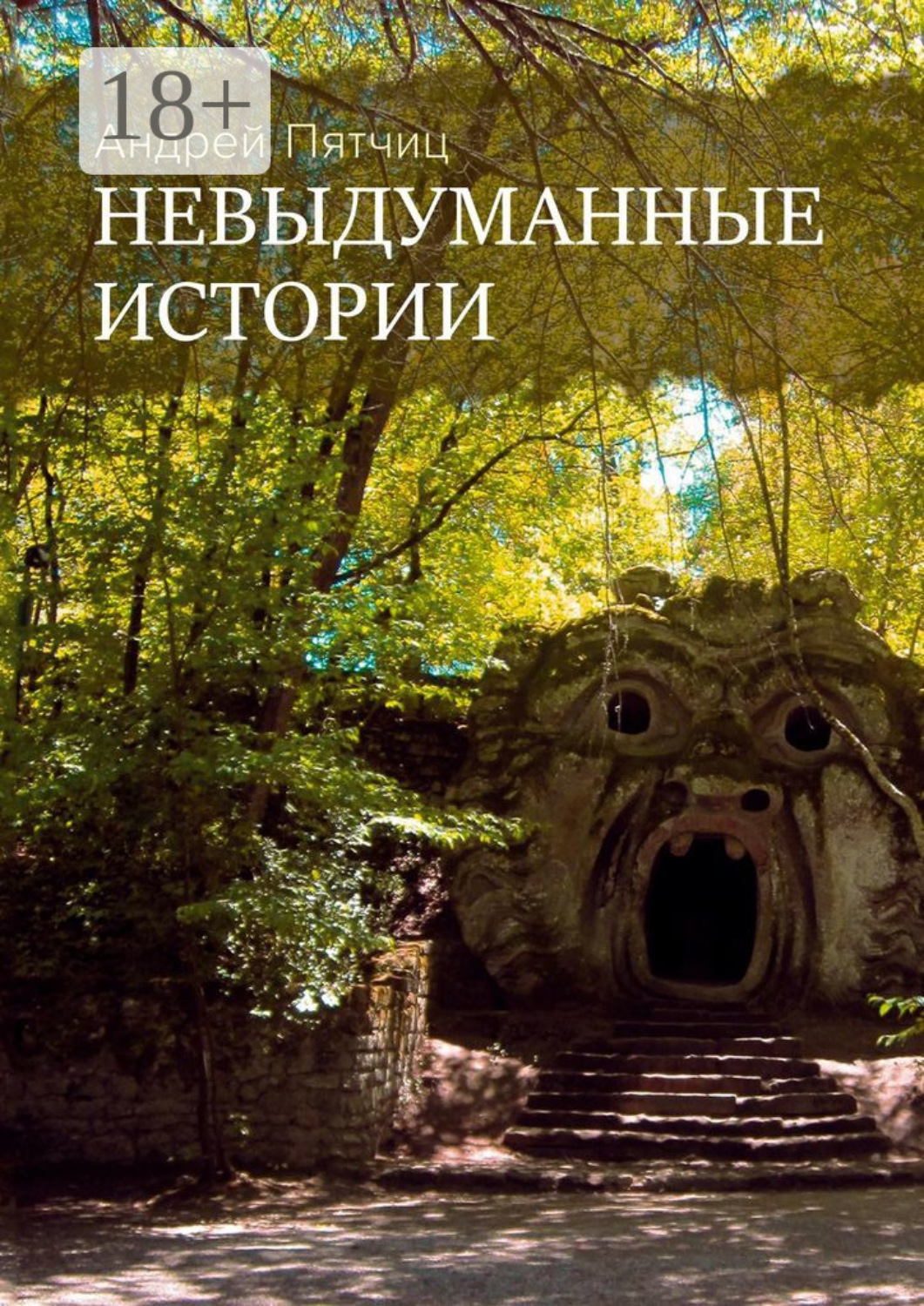 Обложка книги «Невыдуманные истории. Книга первая»