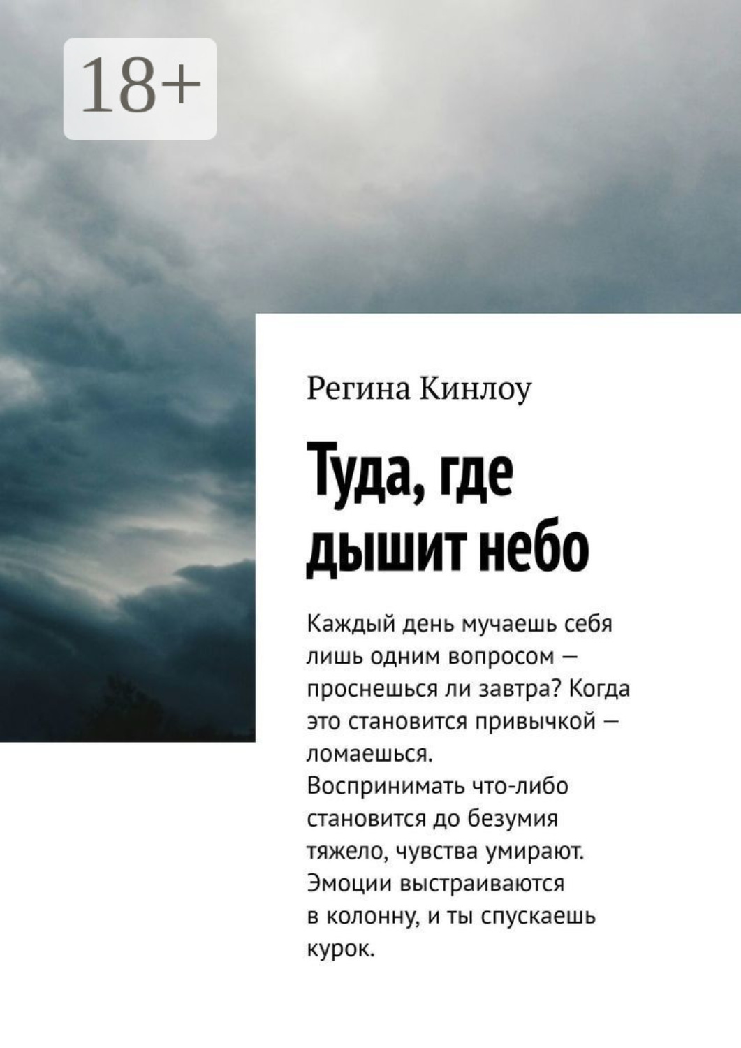 Обложка книги «Туда, где дышит небо»