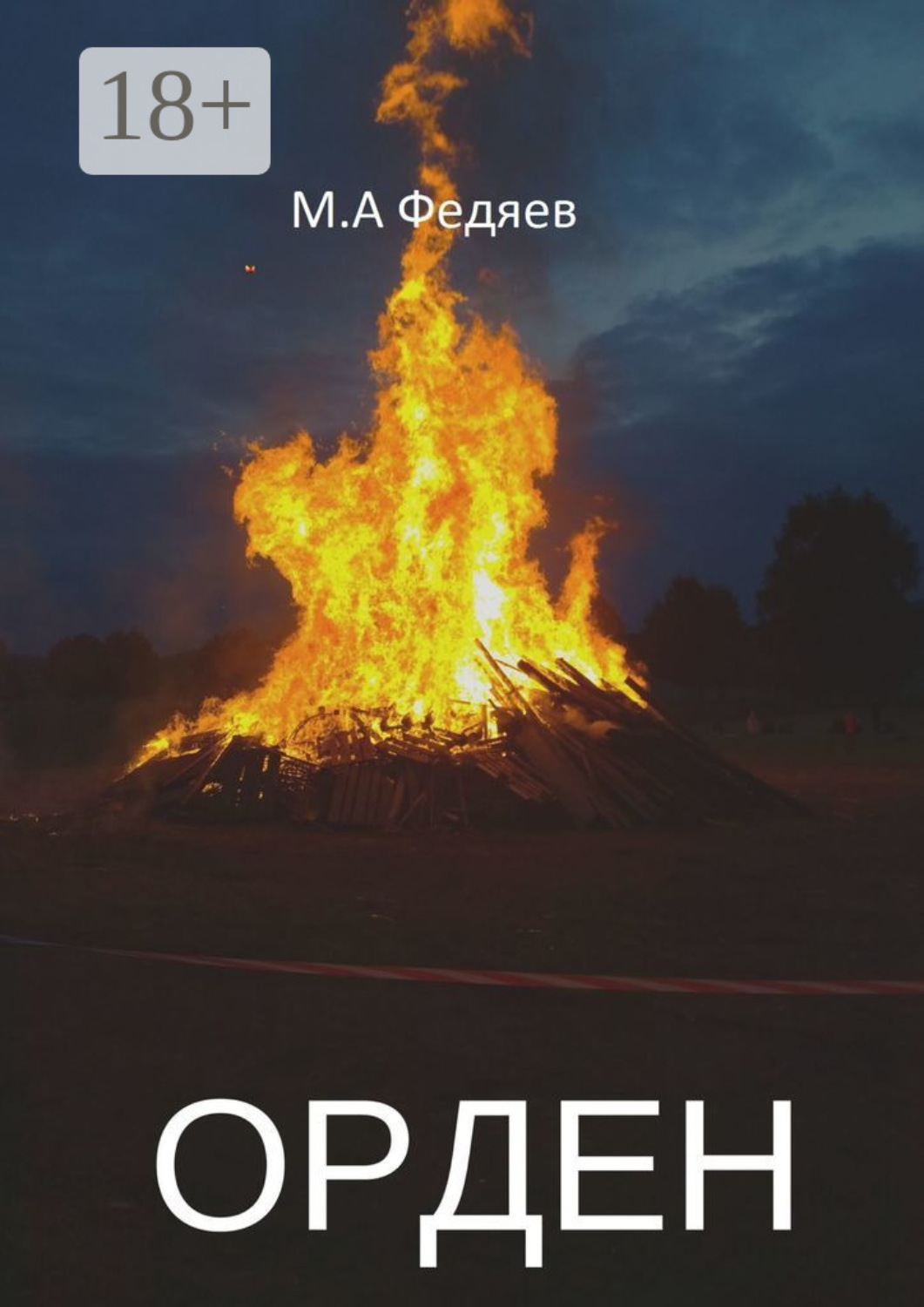 Обложка книги «Орден»