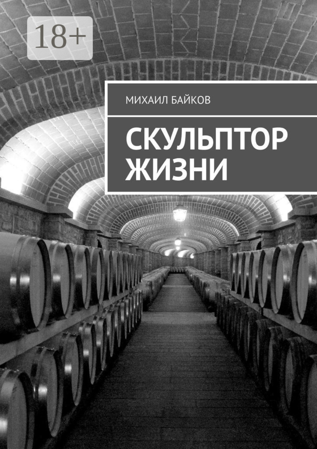 Обложка книги «Скульптор жизни»