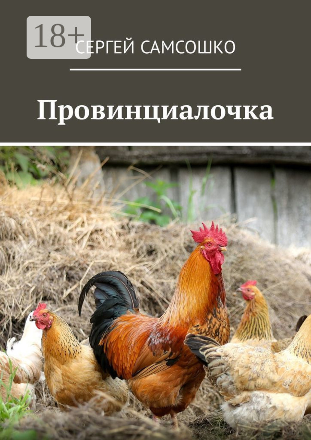Обложка книги «Провинциалочка»