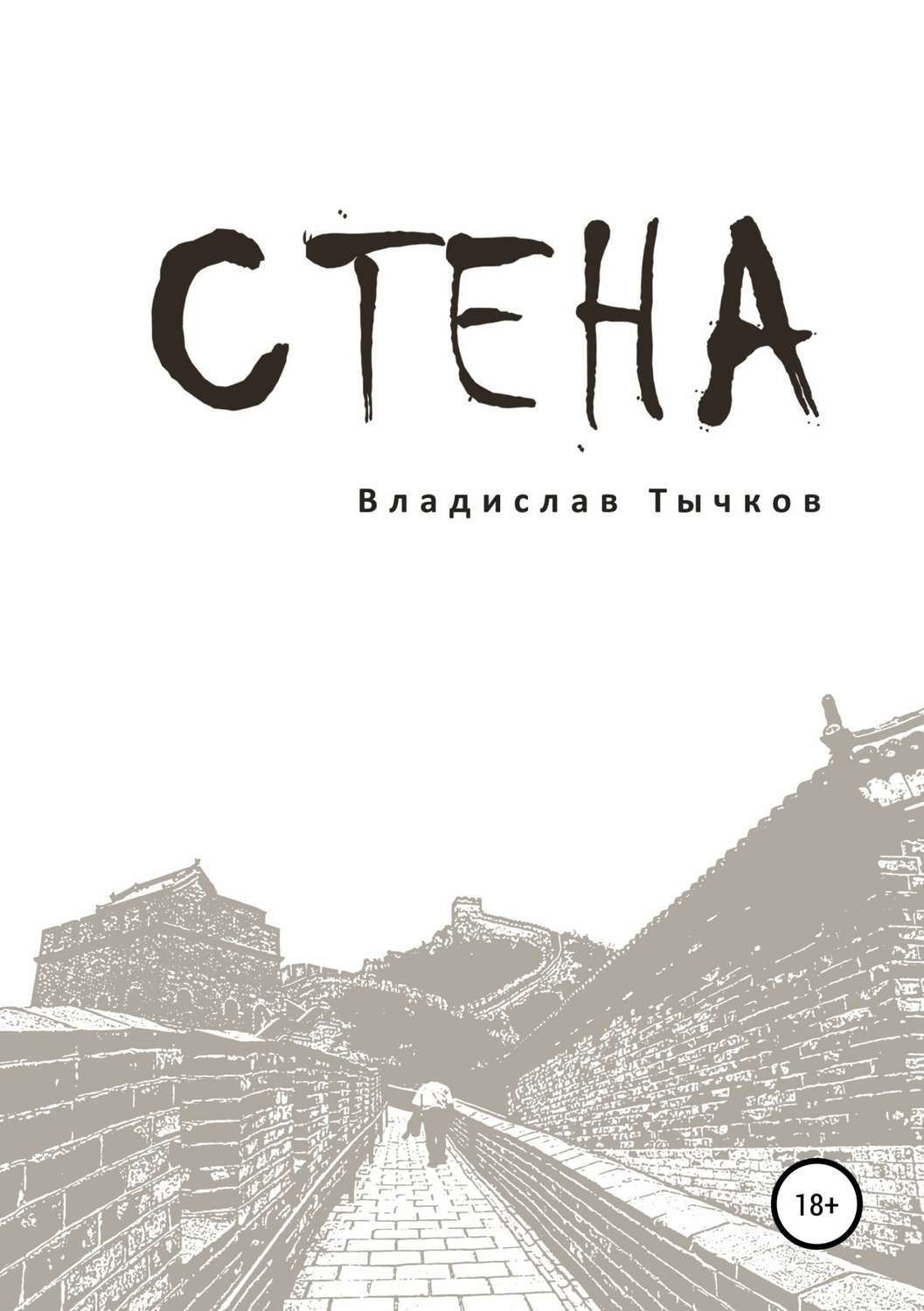 Обложка книги «Стена»