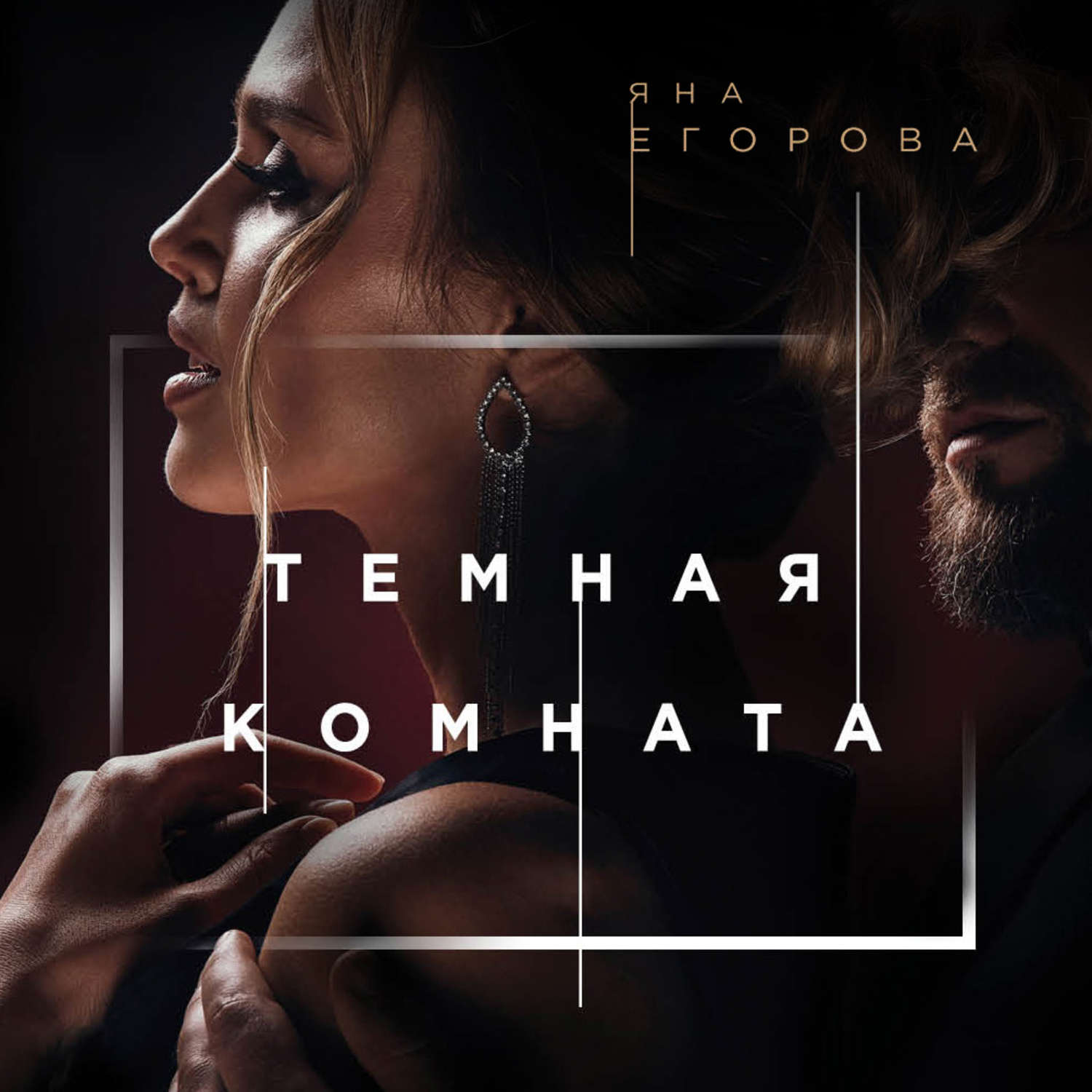 Обложка книги «Темная комната»