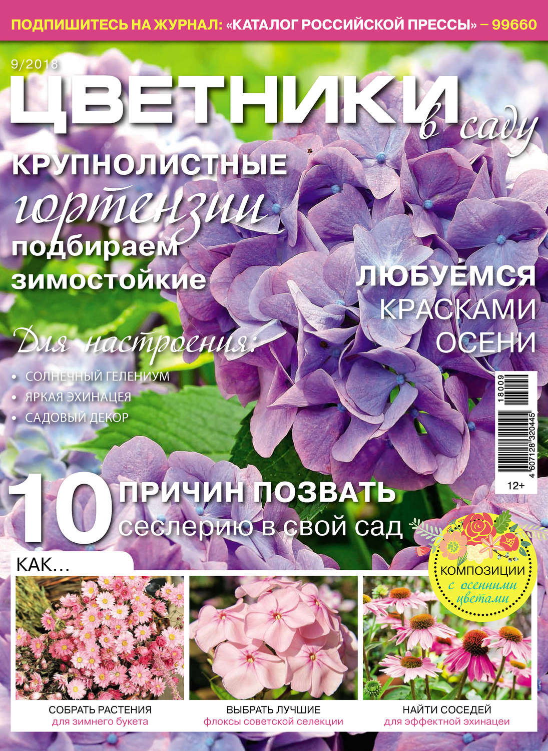 Обложка книги «Цветники в саду №9/2018»