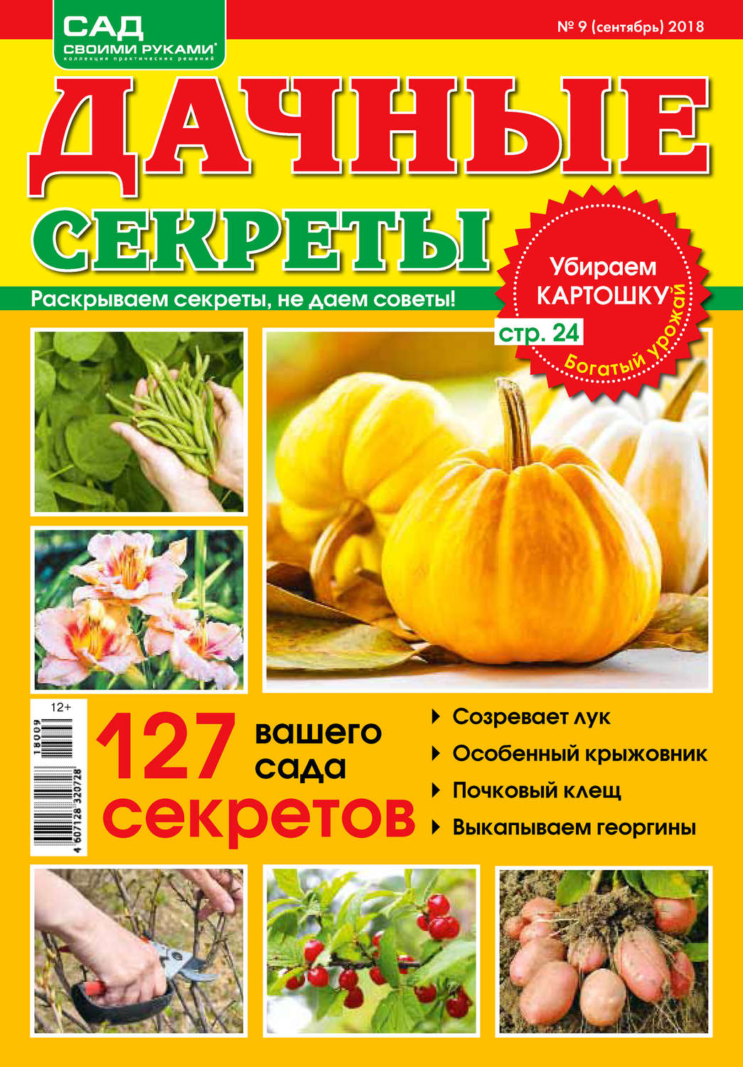 Обложка книги «Сад своими руками. Дачные секреты №9/2018»