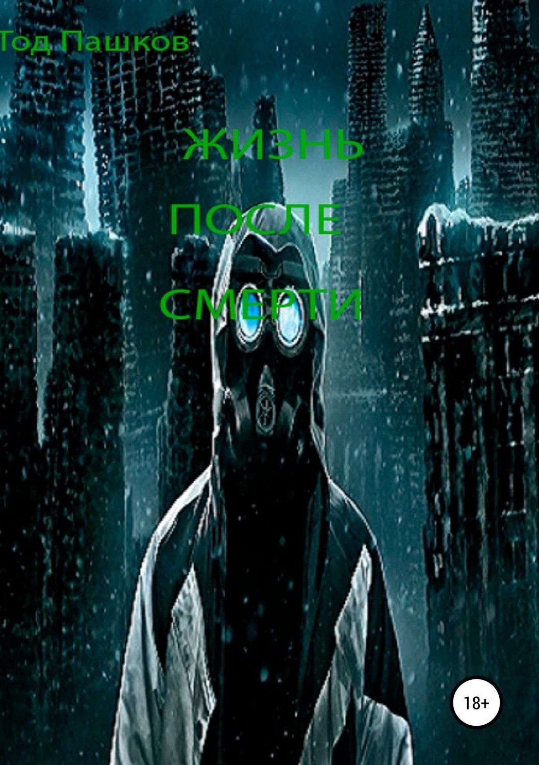 Обложка книги «Жизнь после смерти»