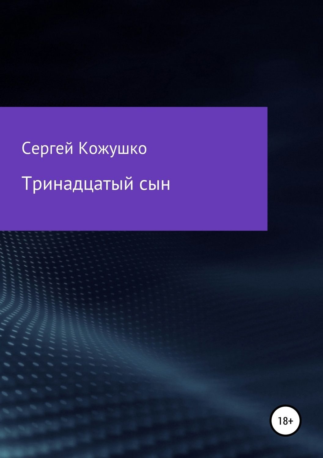 Обложка книги «Тринадцатый сын»