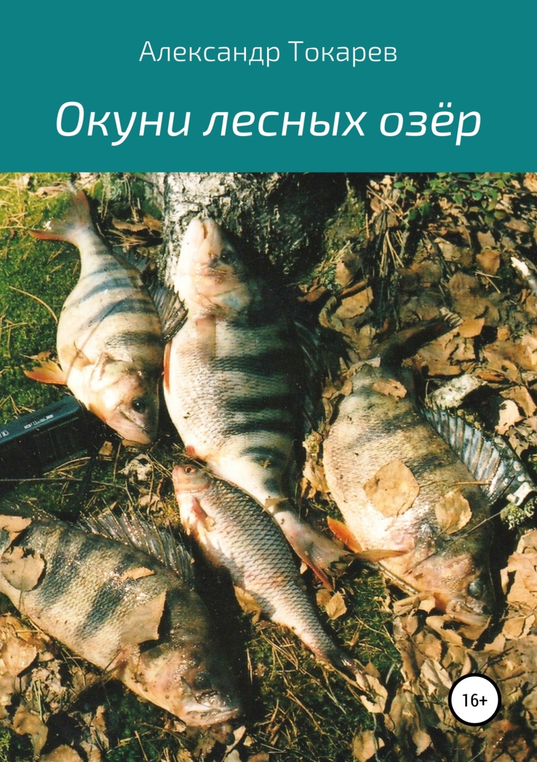 Обложка книги «Окуни лесных озёр»