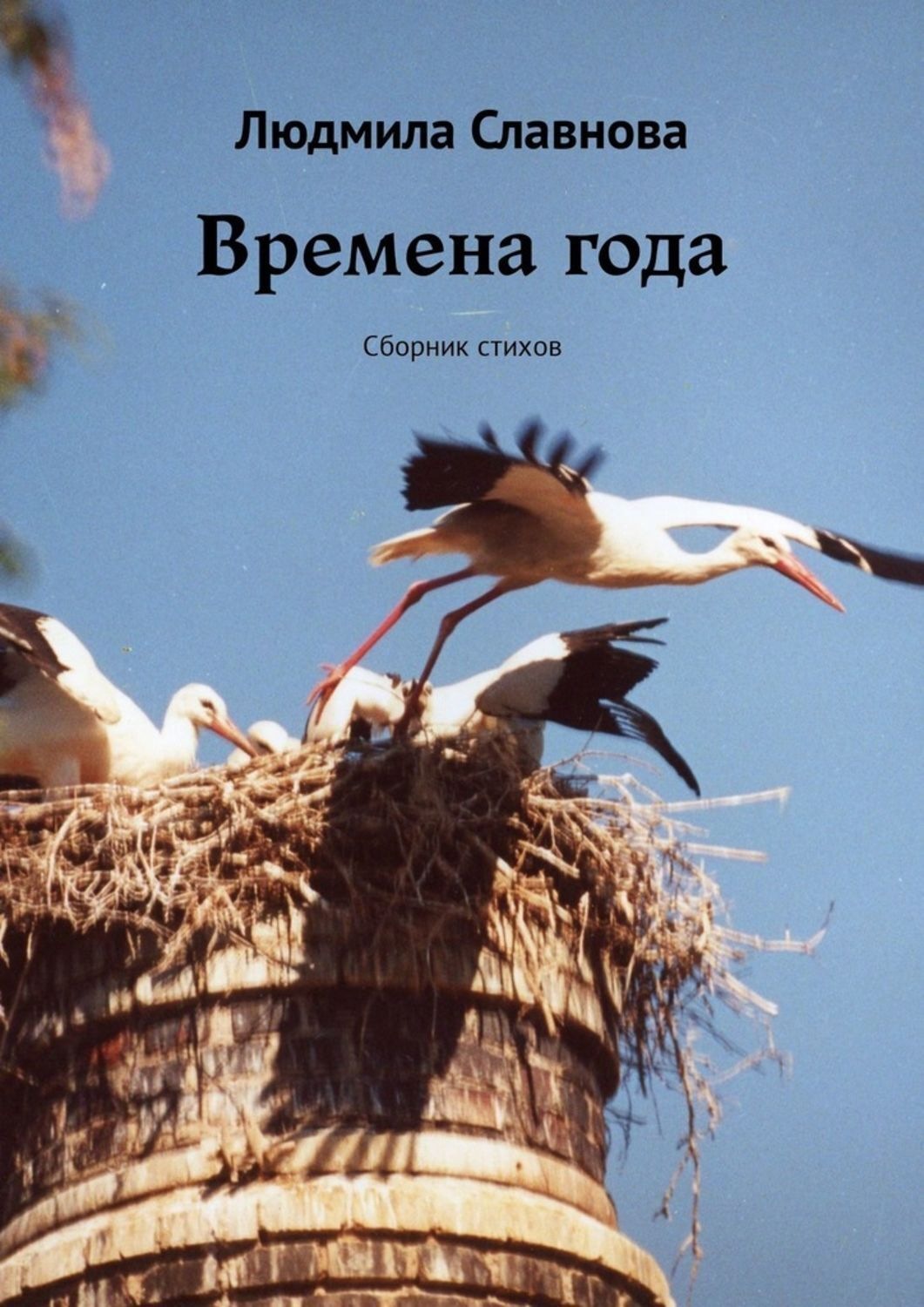 Обложка книги «Времена года. Сборник стихов»