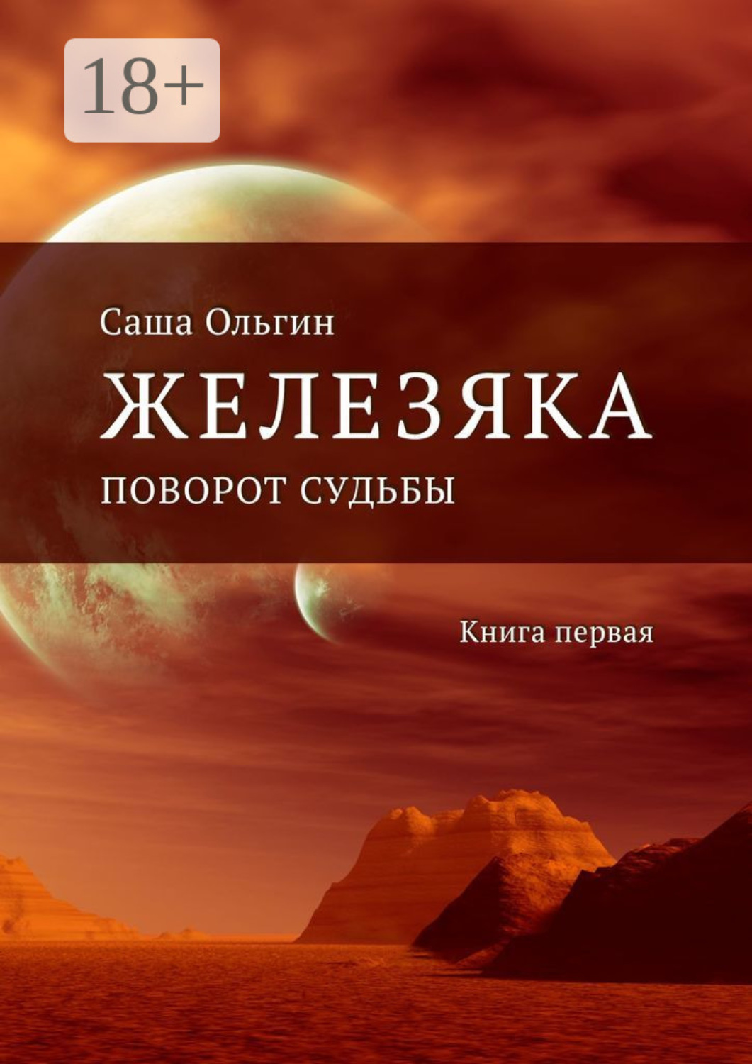 Обложка книги «Железяка. Поворот судьбы. Книга первая»