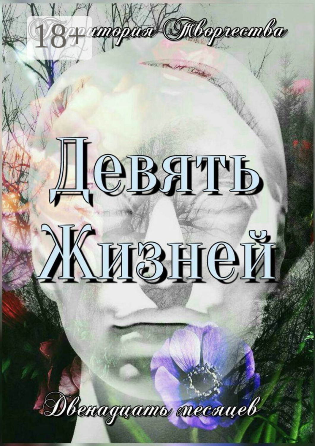 Обложка книги «Девять жизней. Двенадцать месяцев»