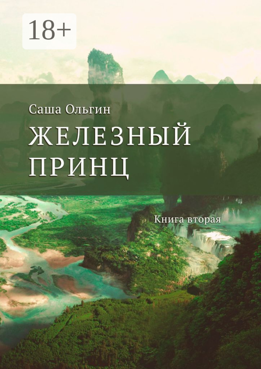 Обложка книги «Железный принц. Книга вторая»