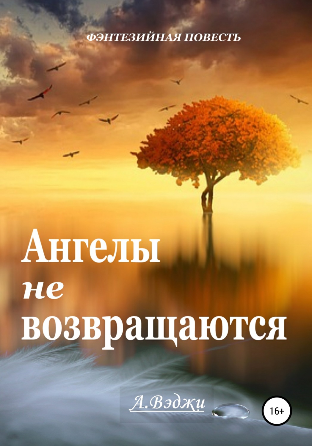 Обложка книги «Ангелы не возвращаются»