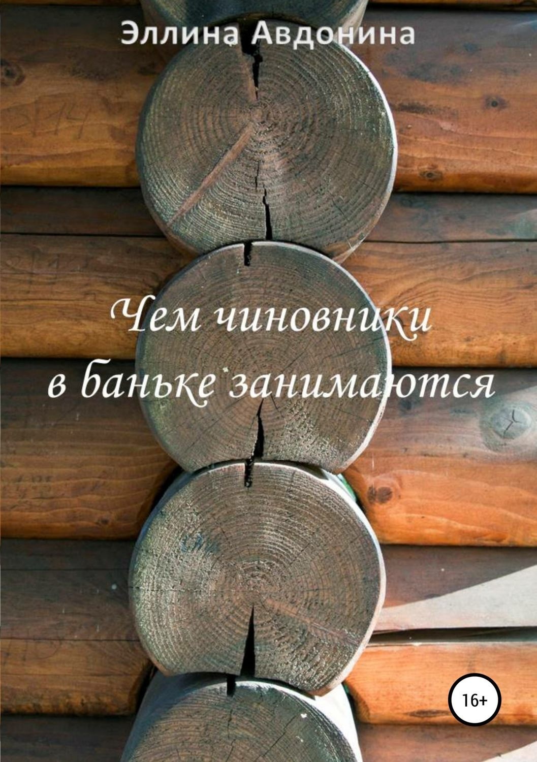 Обложка книги «Чем чиновники в баньке занимаются»