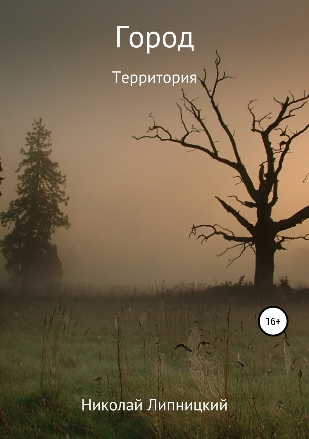 Обложка книги «Город. Территория»
