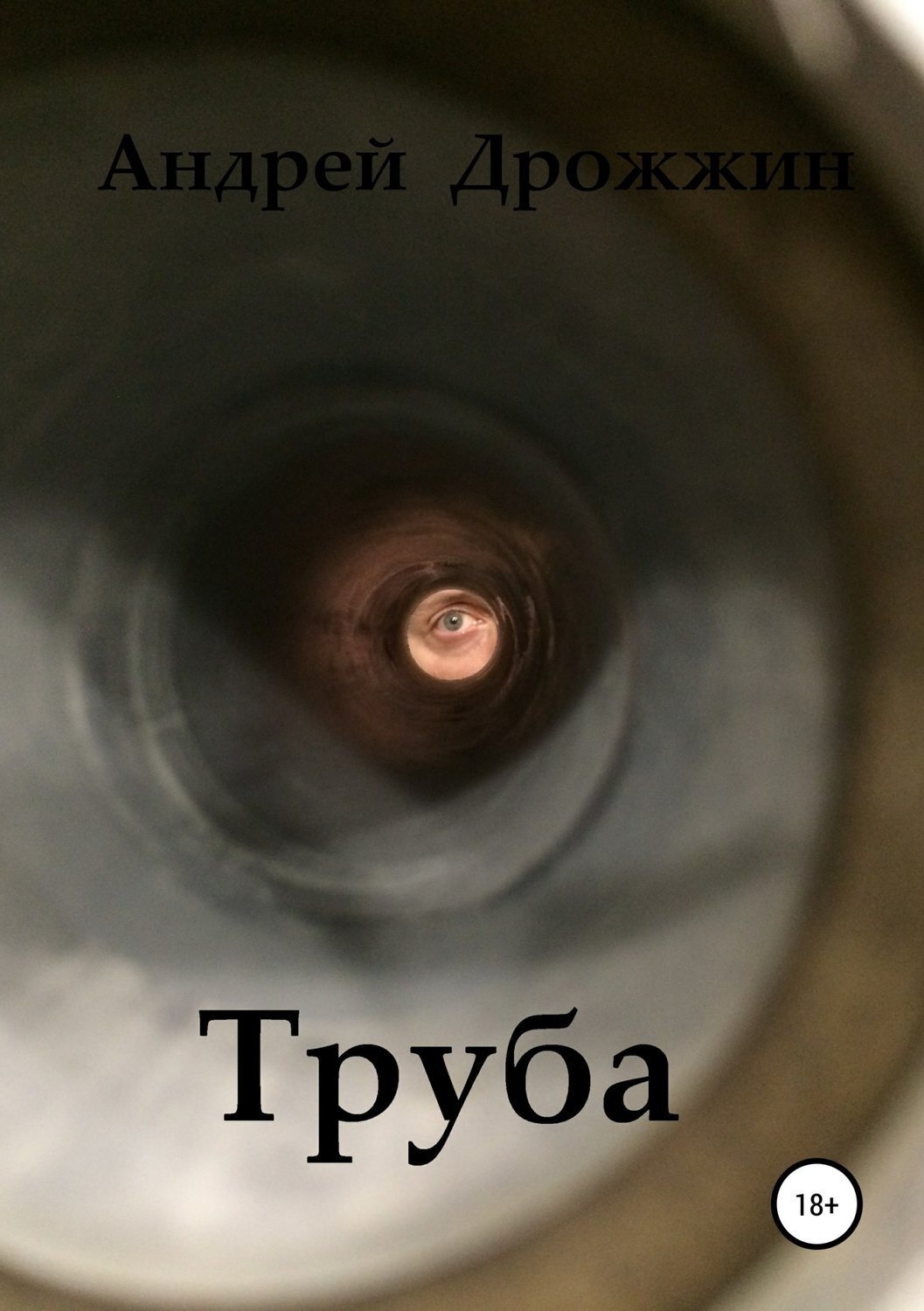 Обложка книги «Труба»