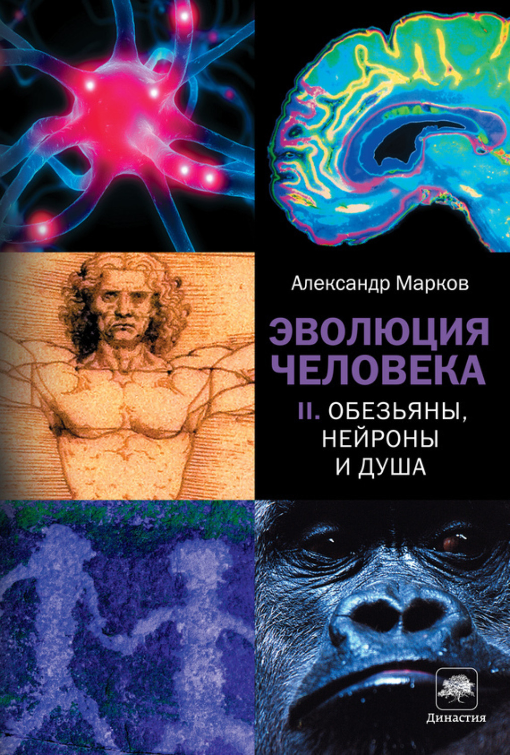 Обложка книги «Обезьяны, нейроны и душа»