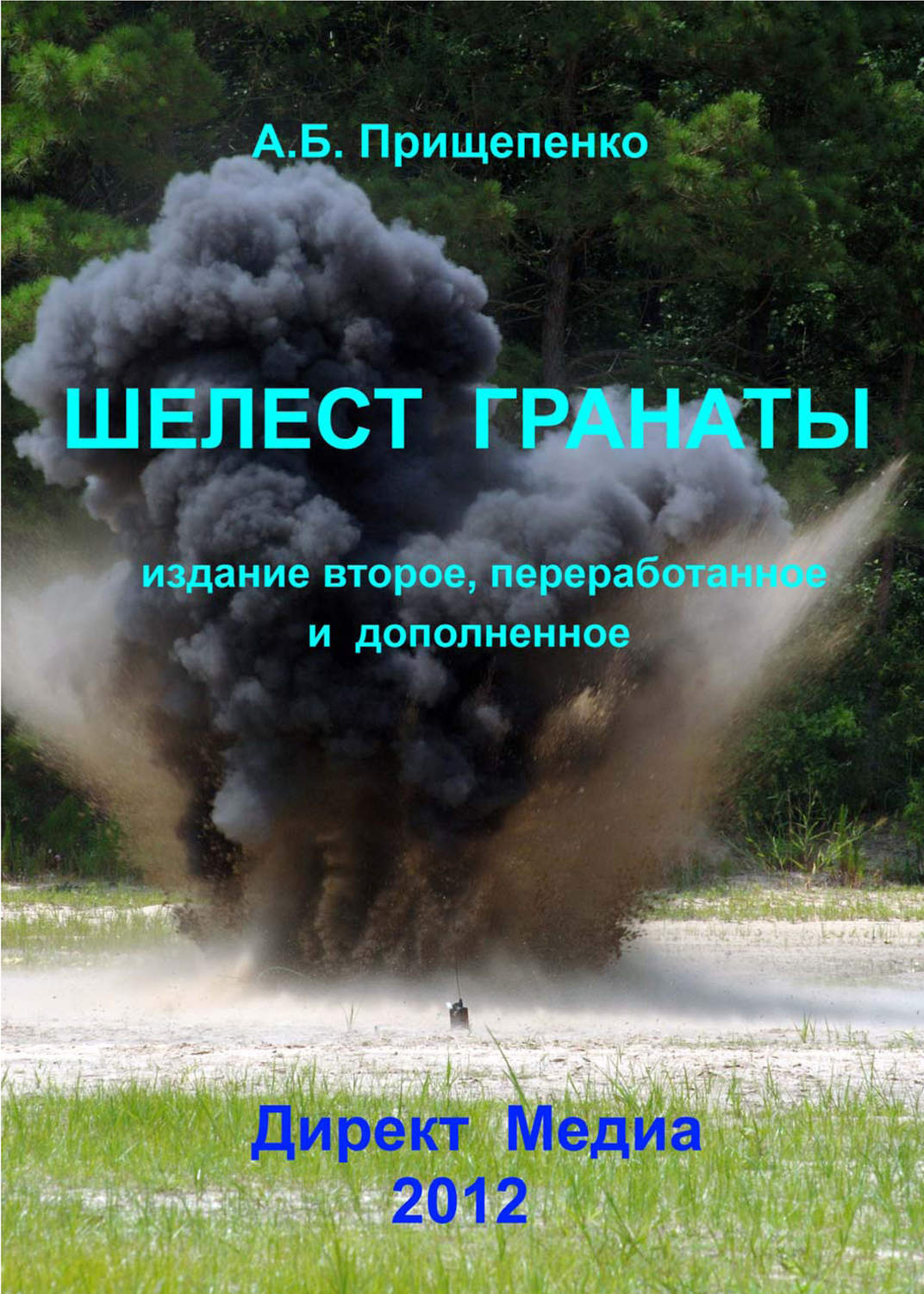 Обложка книги «Шелест гранаты»