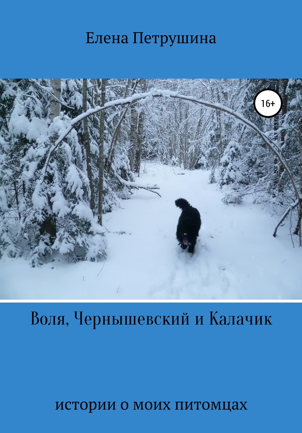 Обложка книги «Воля, Чернышевский и Калачик»