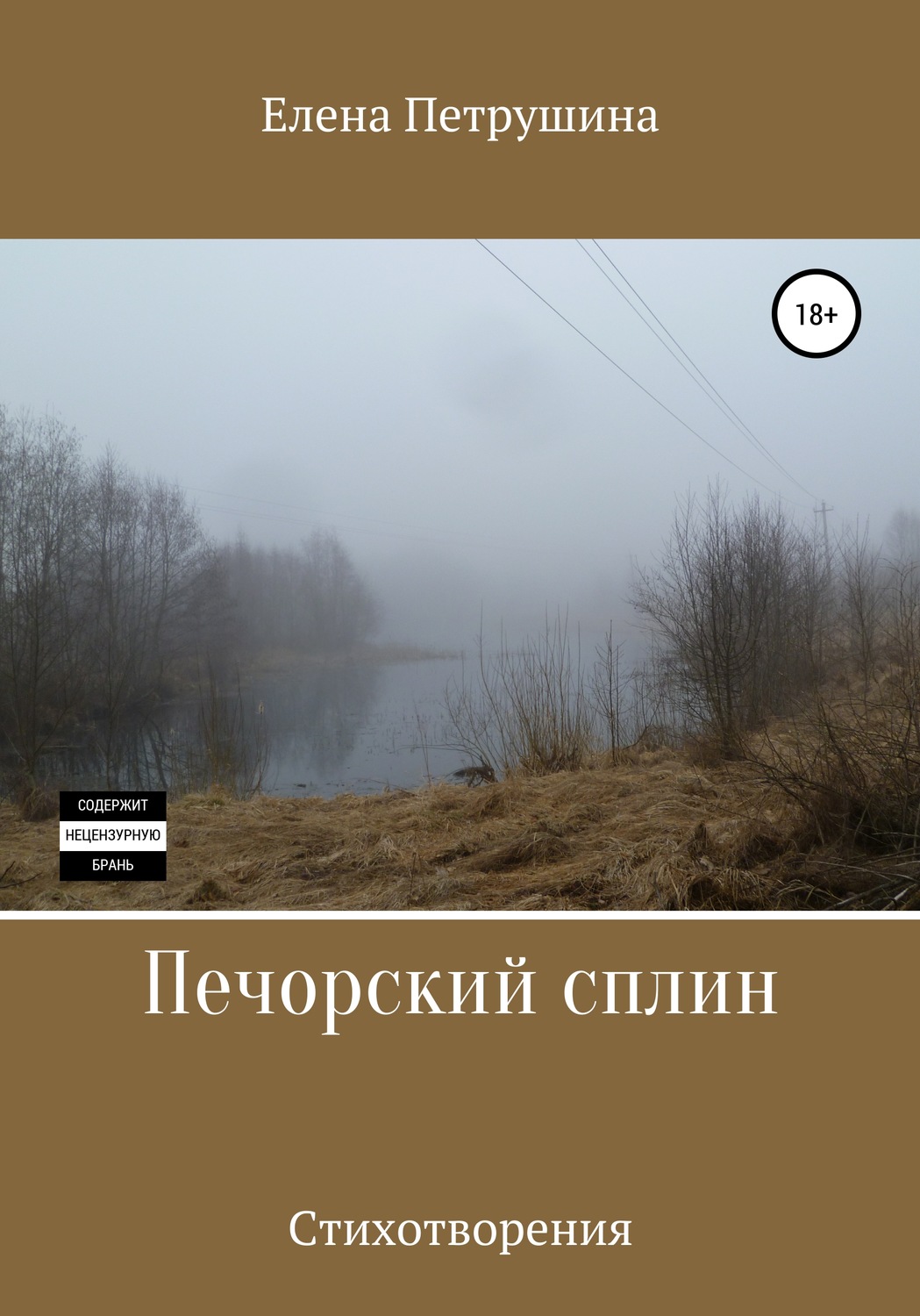 Обложка книги «Печорский сплин»