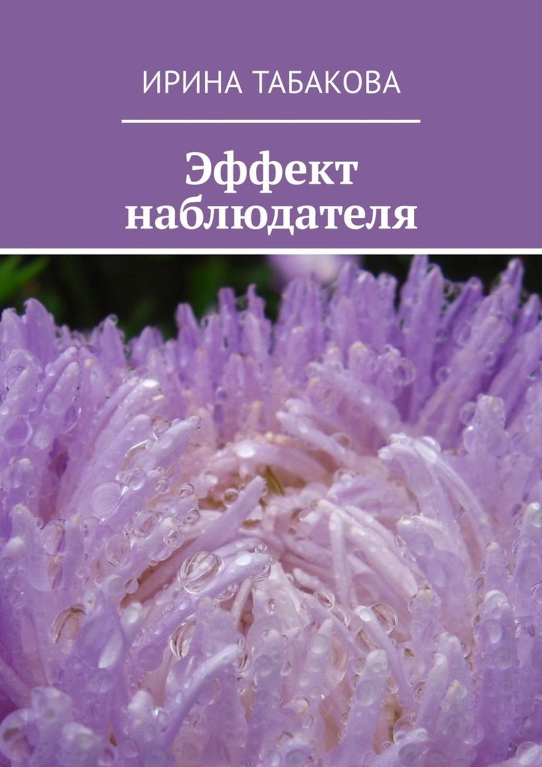 Обложка книги «Эффект наблюдателя. Жизненная зарисовка»