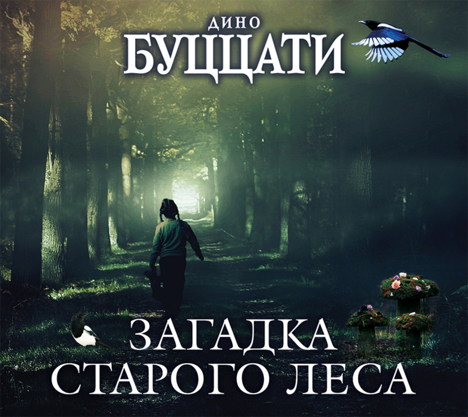 Обложка книги «Загадка Старого Леса»