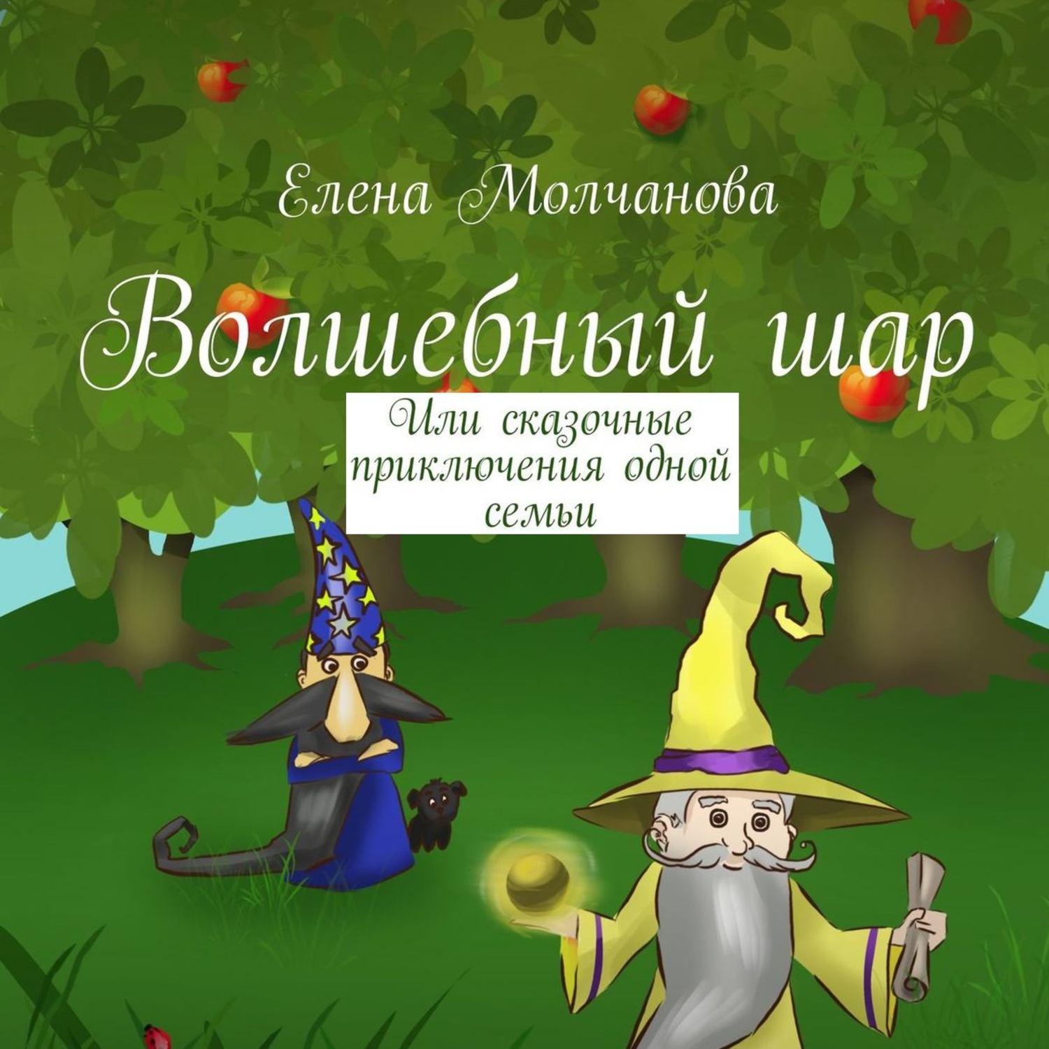 Обложка книги «Волшебный шар. Или сказочные приключения одной семьи»