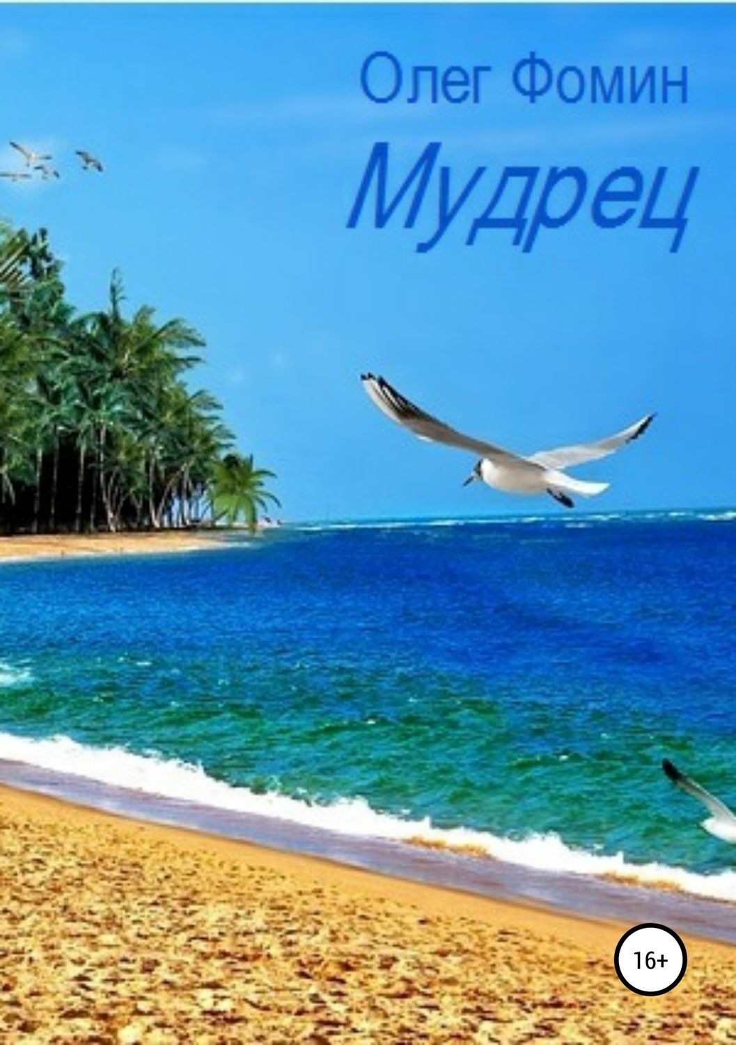Обложка книги «Мудрец»
