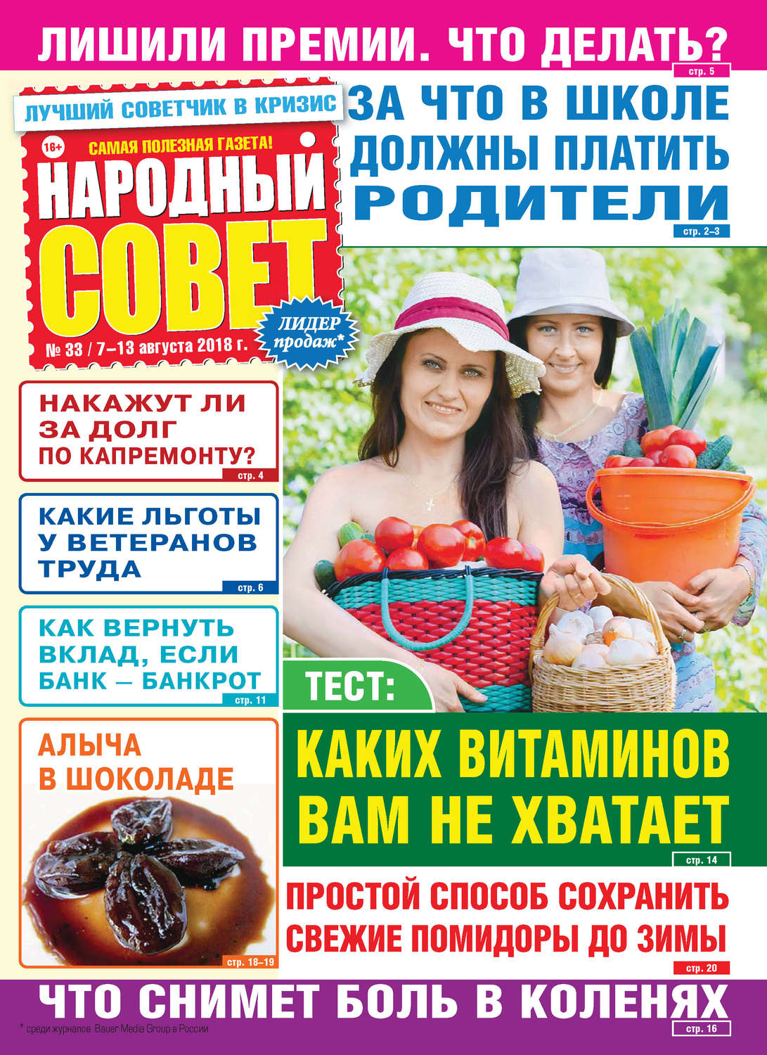 Обложка книги «Народный совет №33/2018»