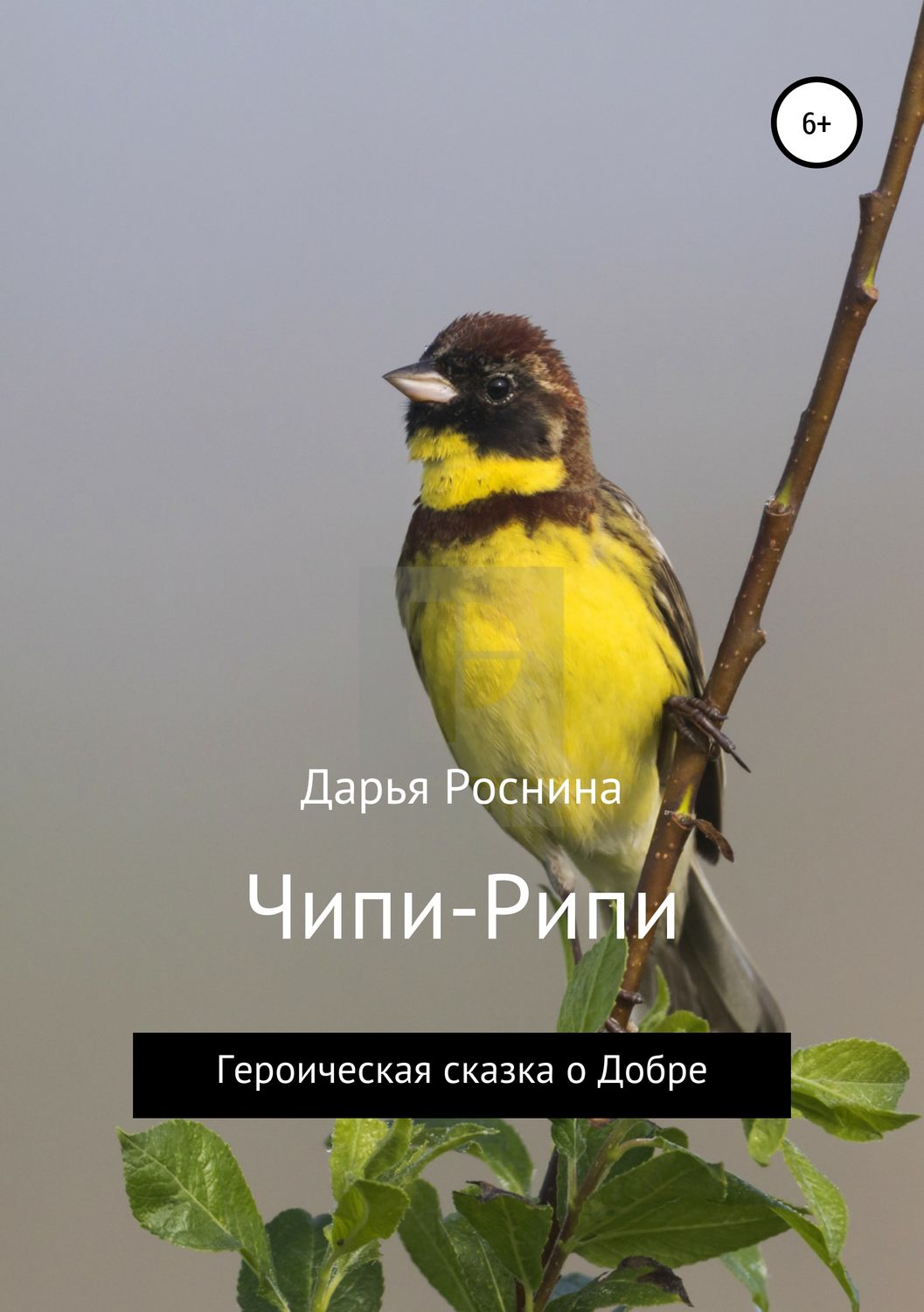 Обложка книги «Чипи-Рипи. Героическая сказка о Добре»