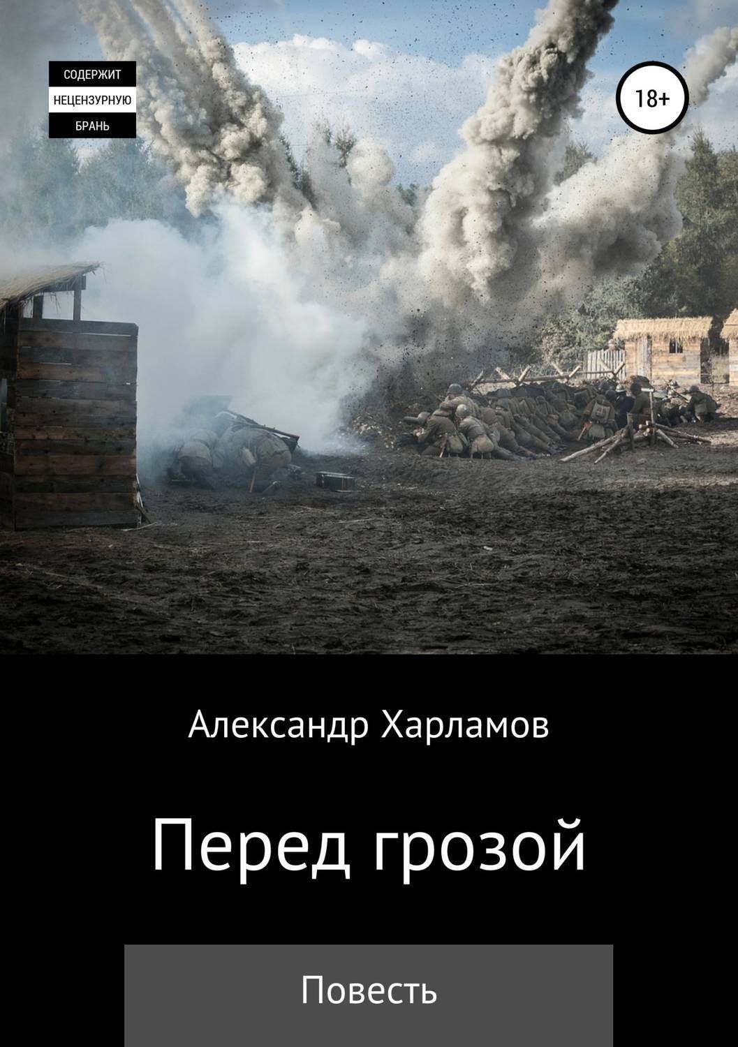 Обложка книги «Перед грозой»