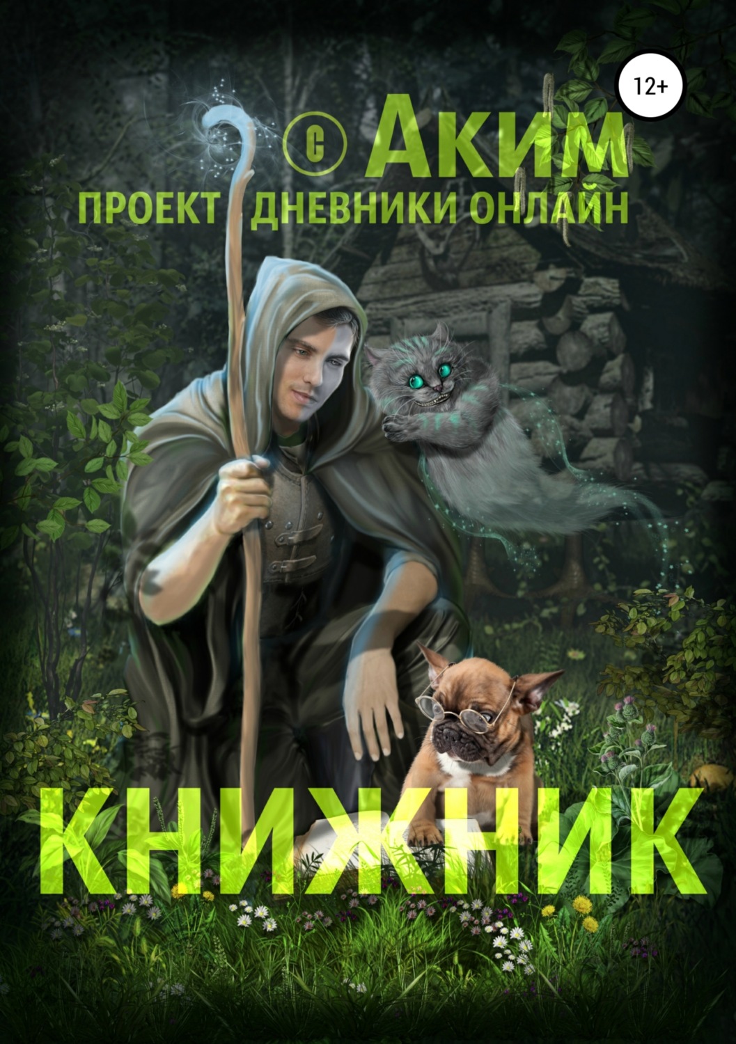 Обложка книги «Книжник»