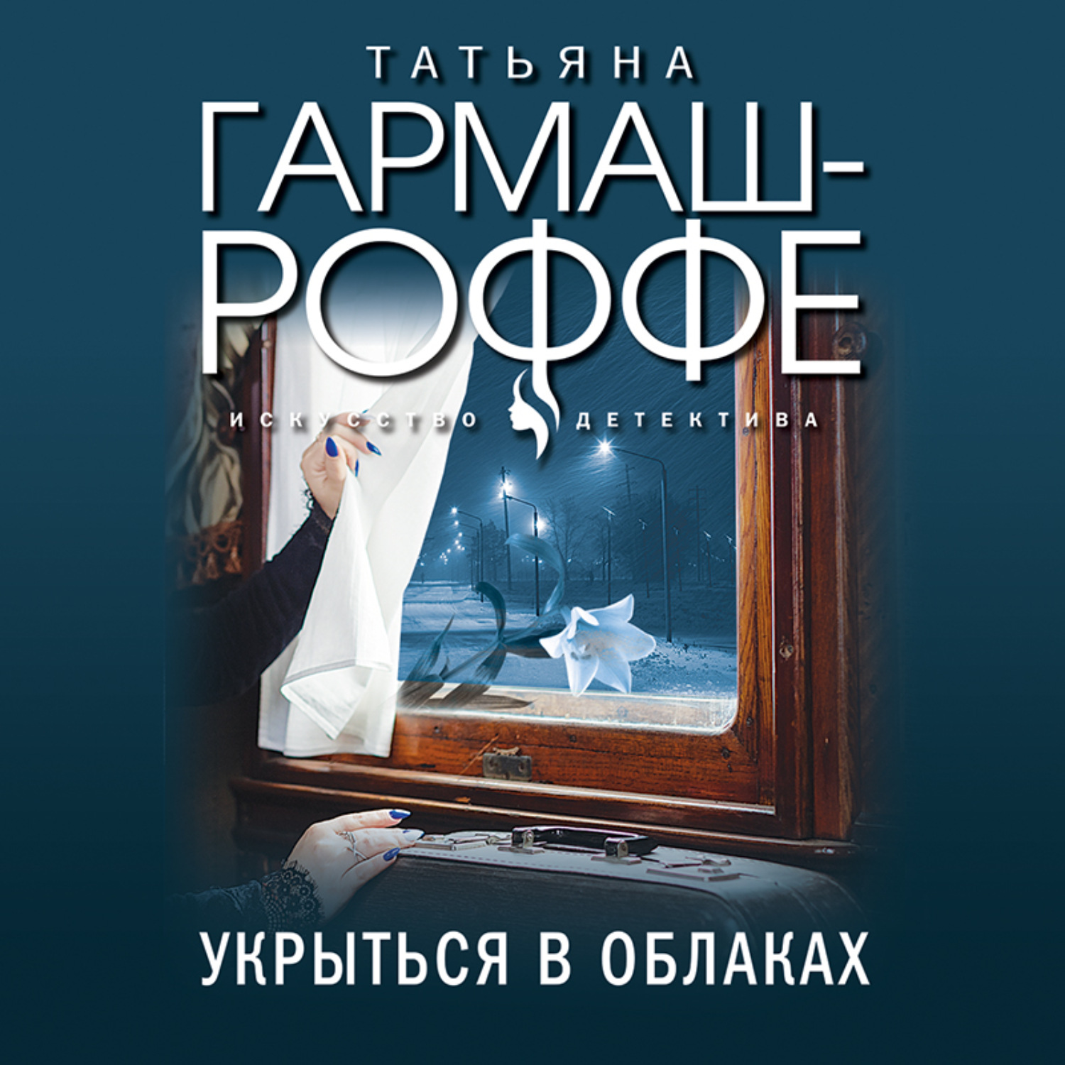 Обложка книги «Укрыться в облаках»