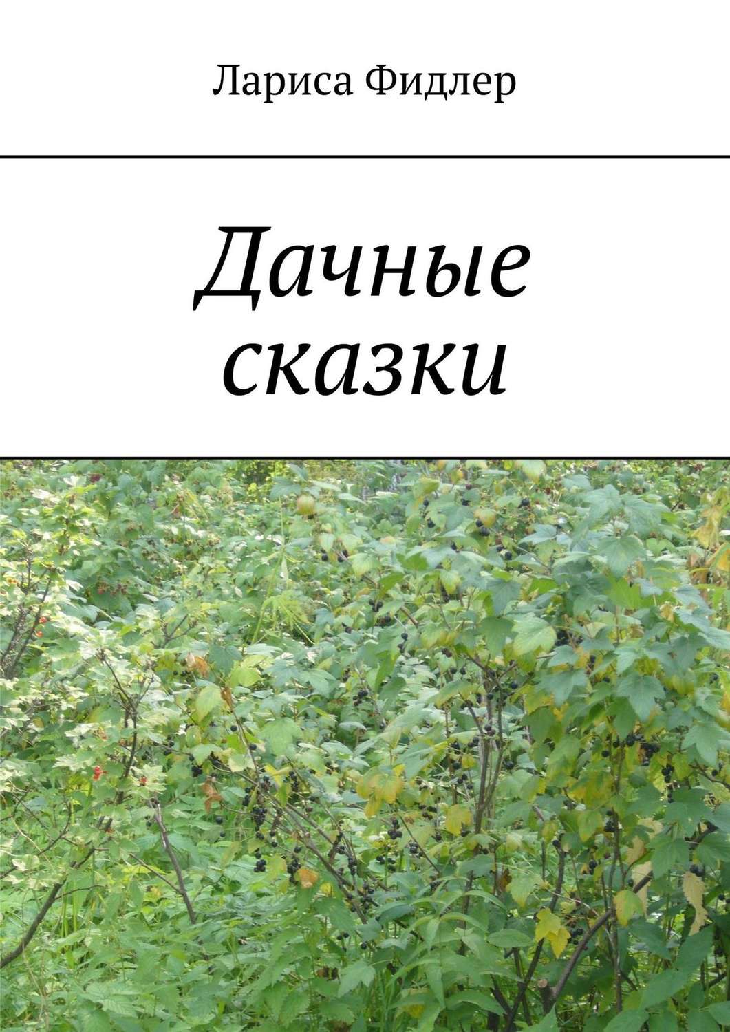 Обложка книги «Дачные сказки»