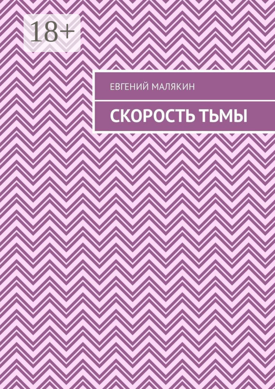 Обложка книги «Скорость тьмы»