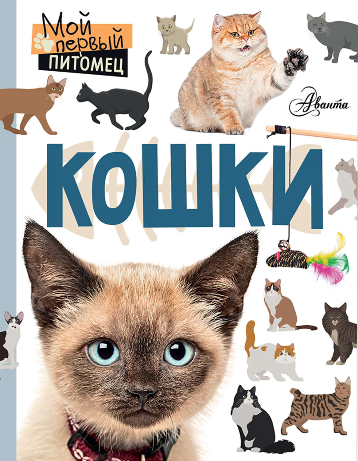 Обложка книги «Кошки»