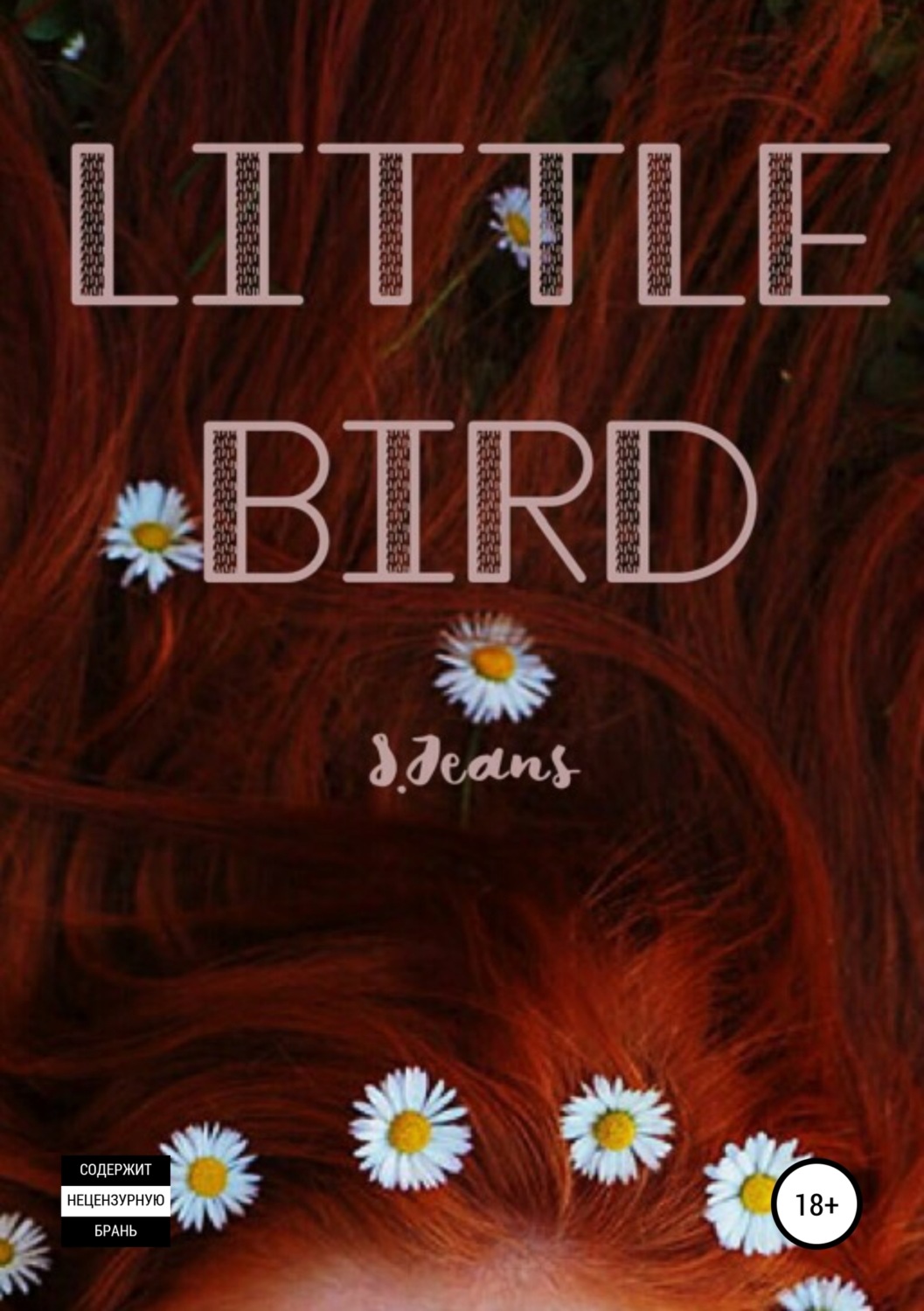 Обложка книги «Little Bird»