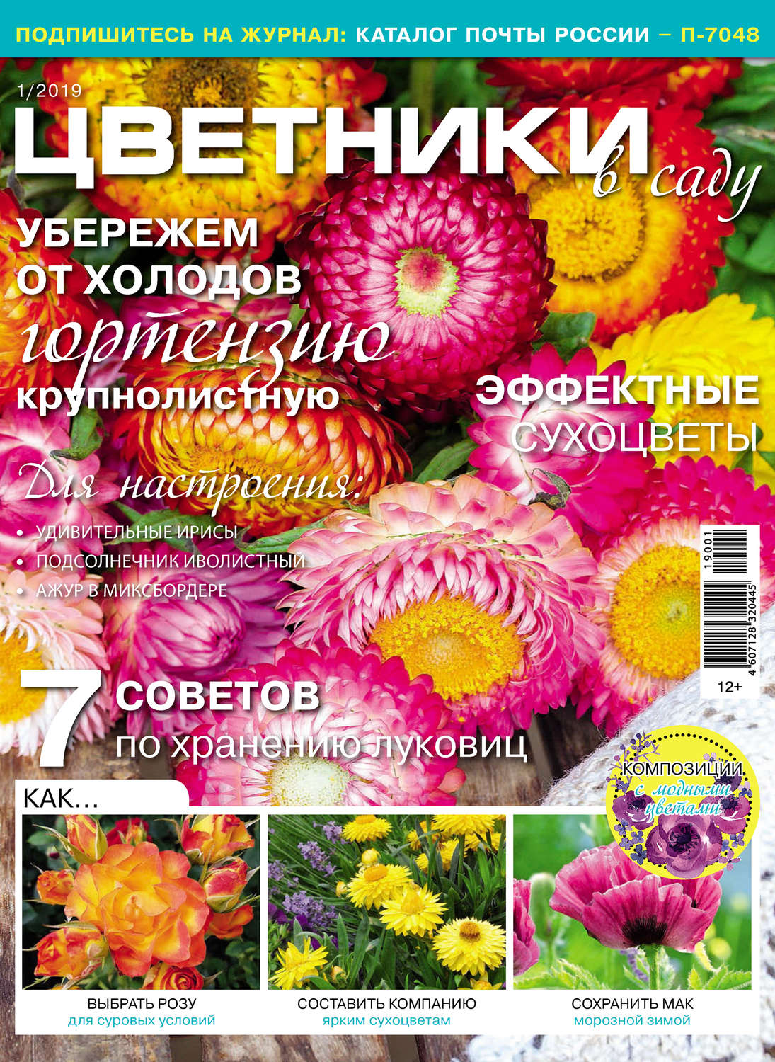 Обложка книги «Цветники в саду №01/2019»