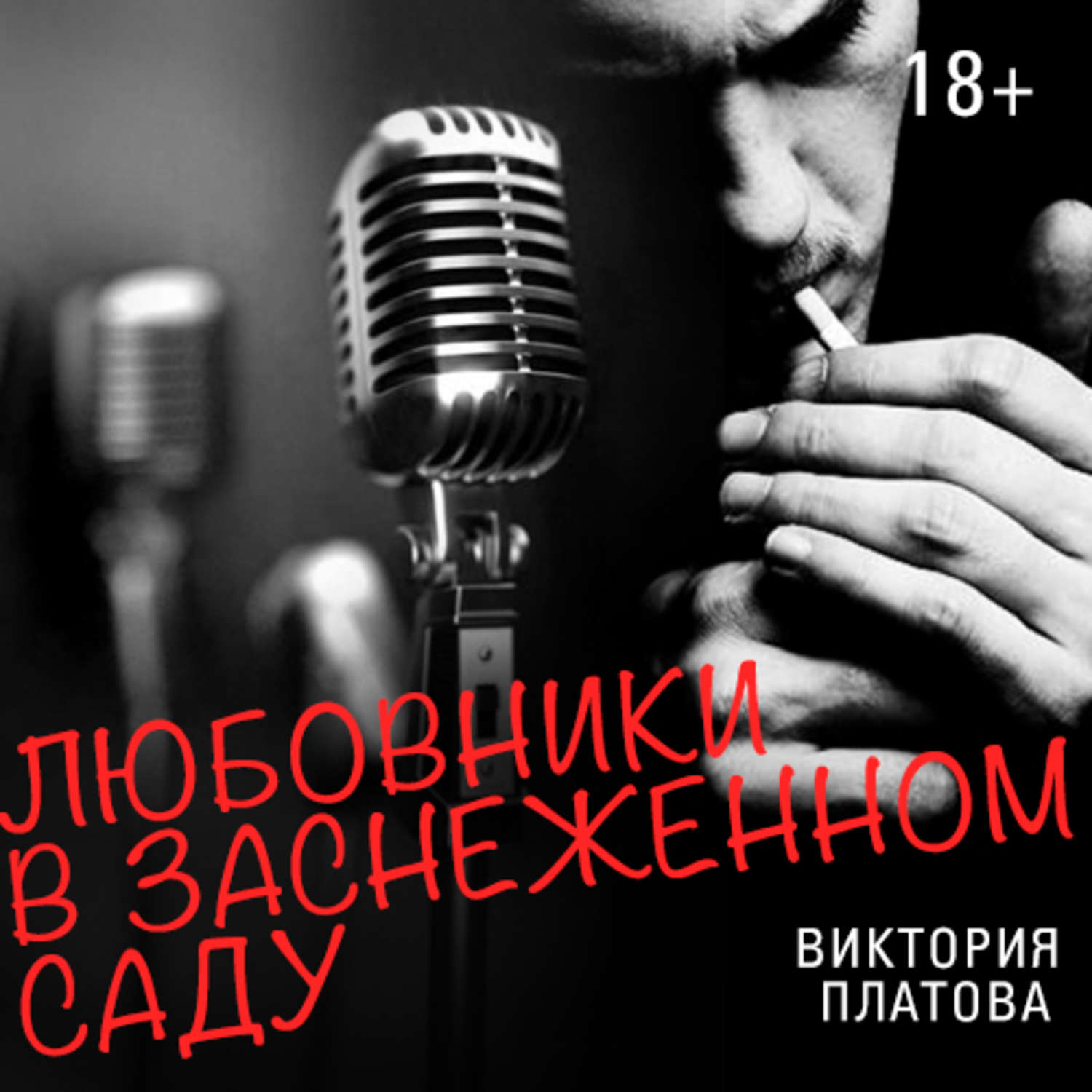 Обложка книги «Любовники в заснеженном саду»